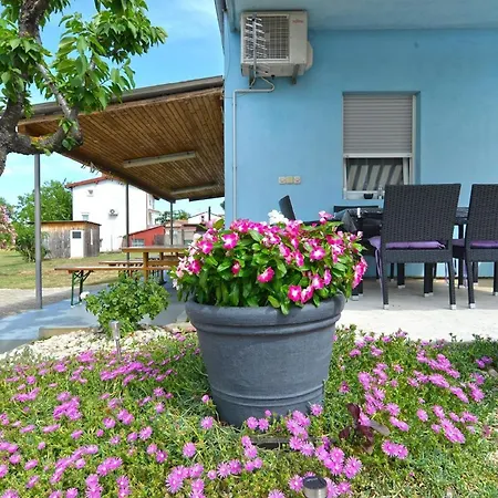 Fuer 3 Personen Ca 30 Qm In Fazana-surida, Istrien Istrische Riviera Apartman Stinjan
